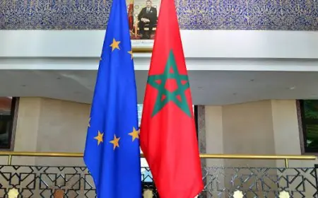 Le Parlement européen approuve l’actualisation de l’accord de coopération scientifique avec le Maroc dans le cadre de PRIMA