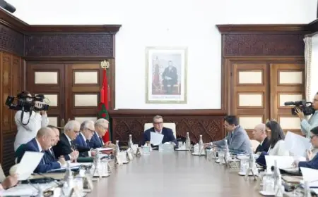 مجلس الحكومة يصادق على تعيينات جديدة في مناصب عليا