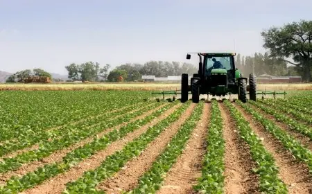 Agriculture : Le ministère lance une étude pour accélérer la mise en œuvre de la stratégie "Génération Green 2020-2030"