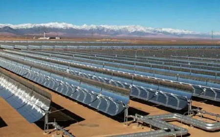 Maroc - Allemagne : Vers des exportations d’électricité verte et d’hydrogène vers l’Europe