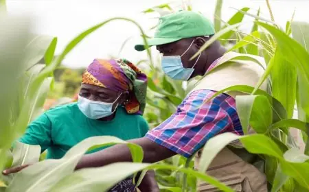 OCP : 256 projets et 95 731 bénéficiaires en 2025 pour un développement durable au Maroc et en Afrique