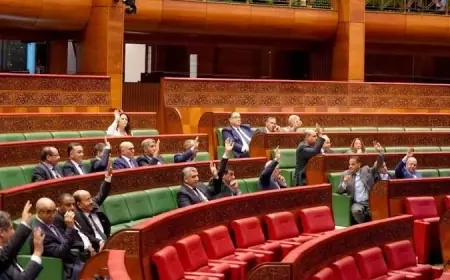 مجلس المستشارين يصادق بالأغلبية على مشروعي قانوني حقوق المؤلف والنظام الأساسي للصحفيين