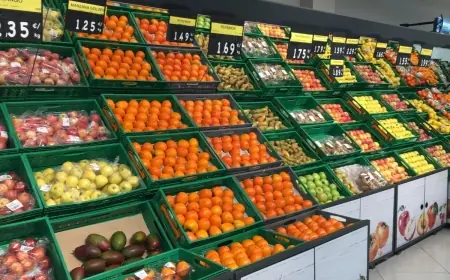Le Maroc confirme sa place de premier fournisseur extracommunautaire de fruits et légumes de l’Espagne au 1er quadrimestre 2026