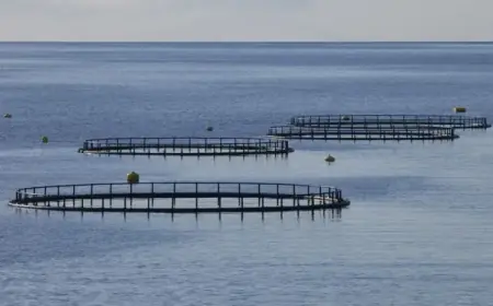Économie bleue : Le Maroc franchit le cap des 244 projets aquacoles opérationnels
