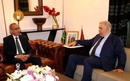 لفتيت يجري مباحثات مع نظيره الموريتاني لتعزيز التعاون الثنائي