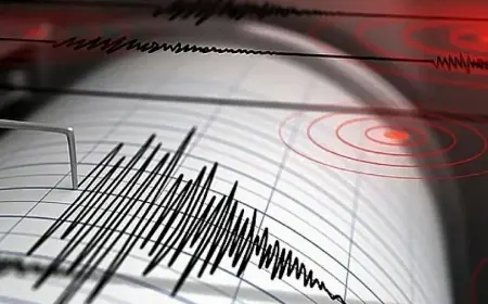 زلزال بقوة 7.3 درجات يضرب جنوب المكسيك وتحذيرات من تسونامي