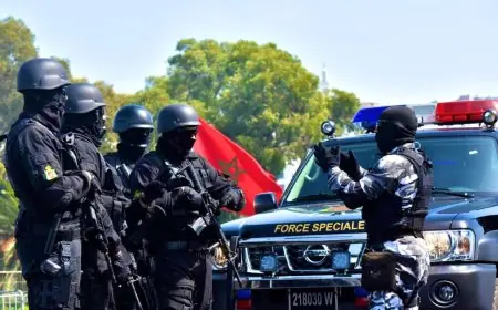 Royaume-Uni : un don d’équipements anti-explosifs de 54 000 livres au Maroc en 2025