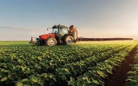 Région du Gharb : forte hausse de la production et des exportations agricoles au titre de la campagne 2024-2025