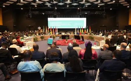 دول مجموعة "سيدياو" تنظم رسميا إلى الاتفاق الحكومي الدولي المؤطر لأنبوب الغاز نيجيريا-المغرب