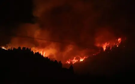 حرائق الجزائر تتفاقم.. 6 وفيات وسكان يرددون التكبير وسط ألسنة اللهب