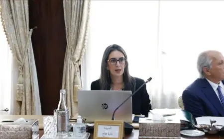 وزيرة الاقتصاد والمالية تبرز قدرة الاقتصاد الوطني على الصمود في مواجهة التحديات