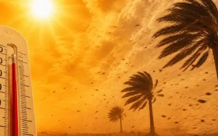 يوعابد لـ«تيليغراف.ما»: انخفاض مرتقب في درجات الحرارة بالمغرب ابتداءً من الجمعة بعد تراجع المنخفض الصحراوي