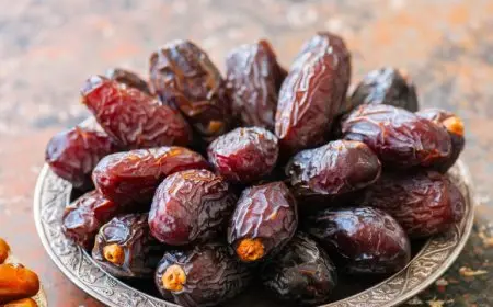 قفزة غير مسبوقة لصادرات التمور المغربية إلى ألمانيا خلال الموسم الحالي