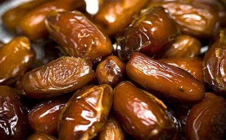 Dattes marocaines : un record historique des exportations vers l’Allemagne en 2025-2026 tiré par la variété Medjool