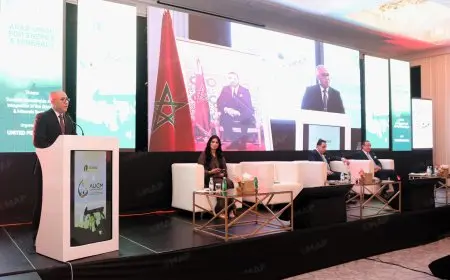 Salé : création de l’Union Arabe de l’Énergie et des Minerais avec le Maroc à sa présidence