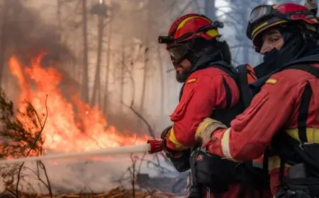 Espagne : état d’urgence nationale décrété à Madrid et dans la province d’Ávila face aux incendies incontrôlables