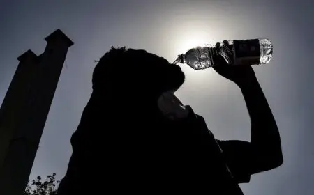 France : une 4ᵉ canicule annoncée dès le 29 juillet 2026, l’inquiétude grandit face aux incendies
