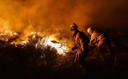 Espagne : un mort dans un incendie près de Valence désormais "sous contrôle", Madrid toujours en proie aux flammes
