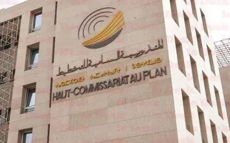 500 مليون سنتيم لتحديث بوابة المندوبية السامية للتخطيط بالذكاء الاصطناعي