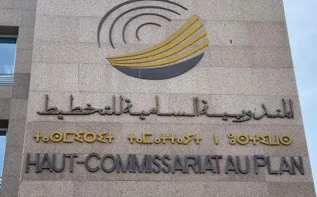 Maroc : Le HCP lance une plateforme de statistiques basée sur l’IA pour 5 millions de dirhams