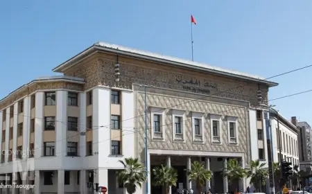 Banks : Le secteur bancaire marocain solide et plus rentable en 2025 malgré les incertitudes mondiales