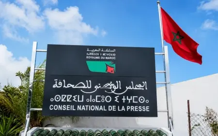 اللجنة المؤقتة تشرع في الإعداد لانتخابات المجلس الوطني للصحافة