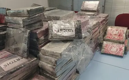 توقيف سائق شاحنة وإحباط تهريب 61 كيلوغراماً من الكوكايين في معبر الكركرات