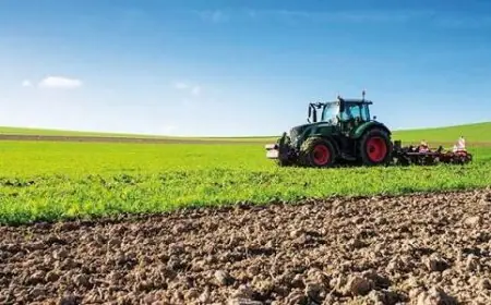 INRA : le semis direct augmente la rentabilité du blé tendre de 46% au Maroc selon une étude sur 15 ans
