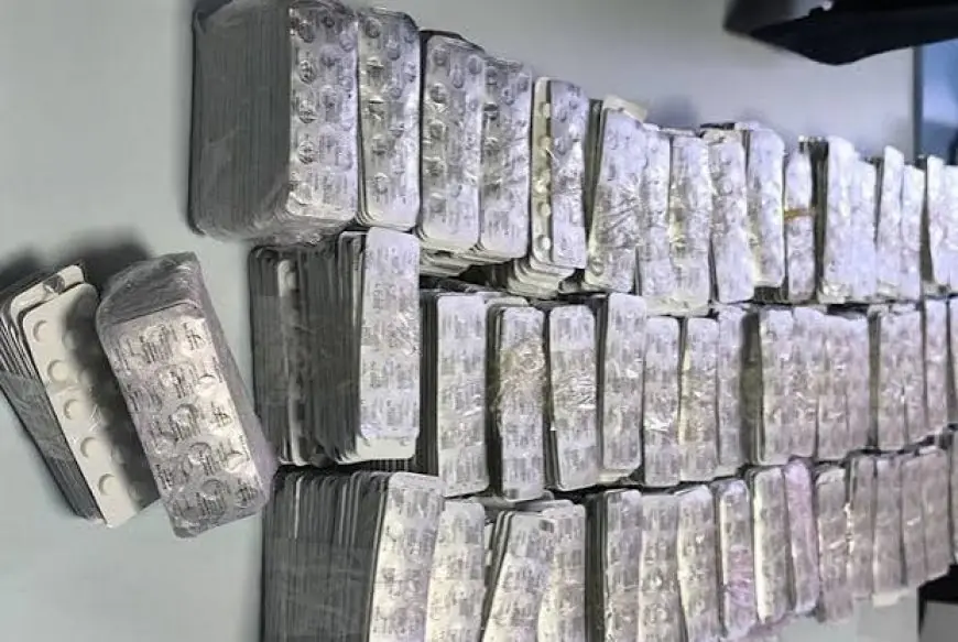 إحباط محاولة تهريب أكثر من 14 ألف قرص مخدر بميناء طنجة المتوسط