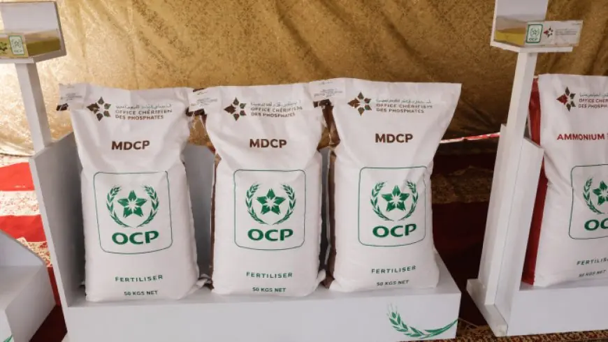 Engrais : Le Brésil place le Maroc au cœur de son plan d’urgence pour sécuriser la campagne 2026-2027
