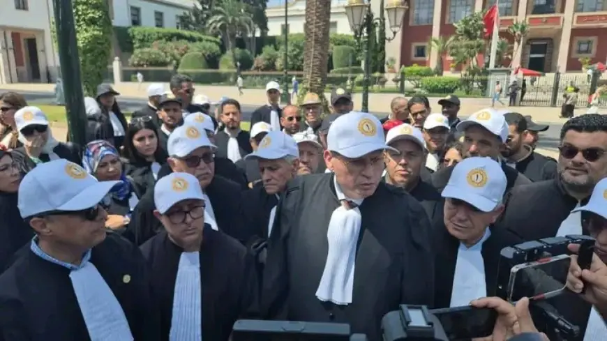 برلمانيون محامون يختارون الأحزاب على المهنة.. غضب عارم داخل أسرة الدفاع بسبب التصويت على قانون المحاماة