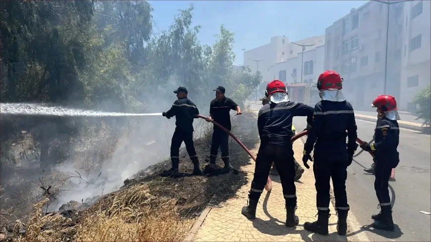 حريق مهول يلتهم أجزاء من غابة ظهر المهراز بفاس ويستنفر السلطات