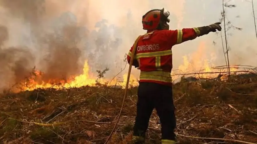 Incendies au Portugal : Lisbonne sollicite l’aide du Maroc, de l’Espagne et de l’UE face à la canicule