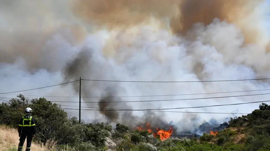 Incendies en Europe : des milliers d’hectares ravagés en France, Espagne et Portugal sous une vague de chaleur