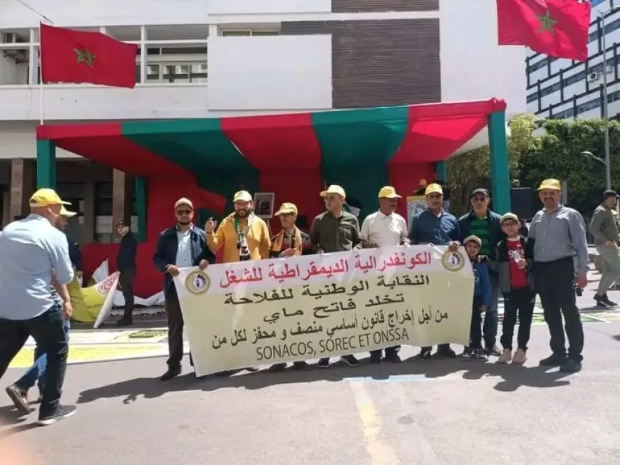 استهداف المناضلين يدفع نقابة للتصعيد ضد المديرة الجهوية للفلاحة بمراكش