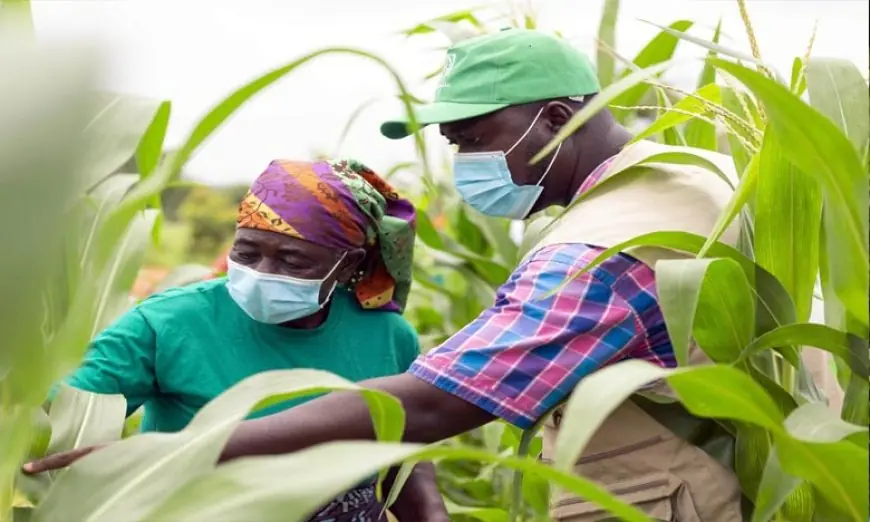 OCP : 256 projets et 95 731 bénéficiaires en 2025 pour un développement durable au Maroc et en Afrique