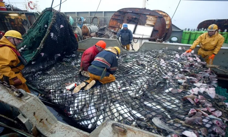 Produits de la mer espagnols : le Maroc, premier marché hors UE pour les mollusques et le poisson séché en 2025