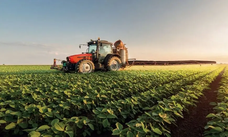 Région du Gharb : forte hausse de la production et des exportations agricoles au titre de la campagne 2024-2025