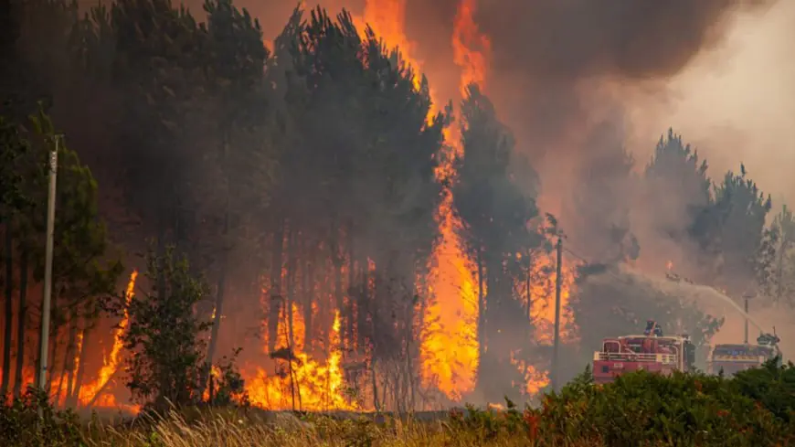 Canada, Espagne, Écosse : la planète suffoque face à des incendies de forêt historiques attisés par la chaleur