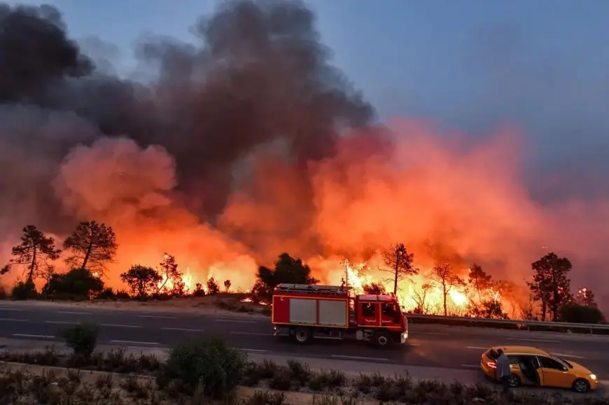 Incendies en Algérie : 1 619 feux en 15 jours, le pays face à une crise nationale