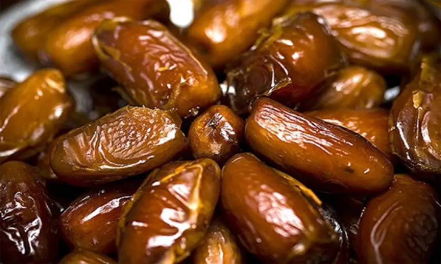Dattes marocaines : un record historique des exportations vers l’Allemagne en 2025-2026 tiré par la variété Medjool