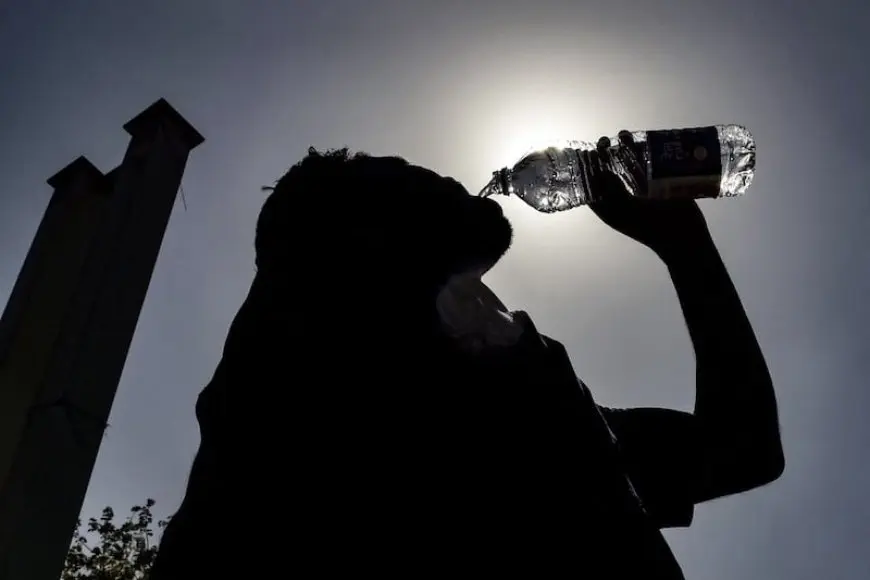 France : une 4ᵉ canicule annoncée dès le 29 juillet 2026, l’inquiétude grandit face aux incendies