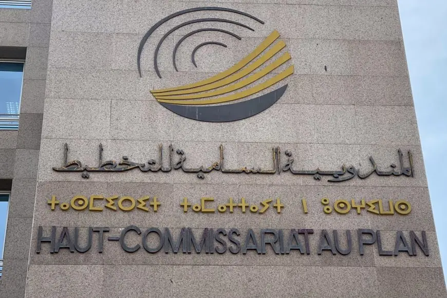 Maroc : Le HCP lance une plateforme de statistiques basée sur l’IA pour 5 millions de dirhams
