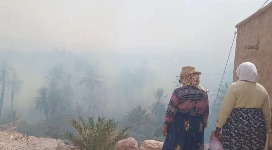 إخماد حريق أكدز بزاكورة بعد جهود مكثفة وخسائر طالت 1500 نخلة و8 هكتارات