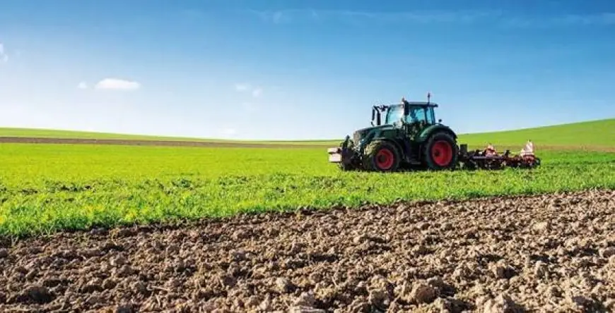 INRA : le semis direct augmente la rentabilité du blé tendre de 46% au Maroc selon une étude sur 15 ans