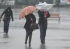 Alerte météo orange : de forts orages avec grêle attendus vendredi dans plusieurs provinces