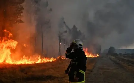 Allemagne : les incendies de forêt dans le sud du pays échappent au contrôle des pompiers