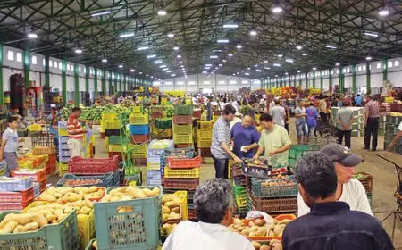 Abondance inédite sur les marchés de gros : les prix des fruits et légumes se stabilisent en plein pic estival