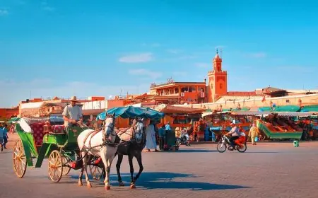 مراكش تتصدر قائمة المدن الأكثر حرارة في المغرب بـ44 درجة مئوية