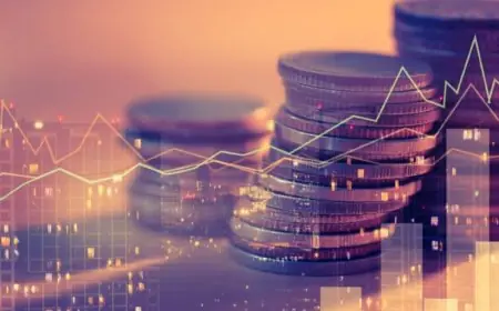 Le Maroc parmi les 10 pays au monde qui attirent le plus de capitaux privés grâce au financement public